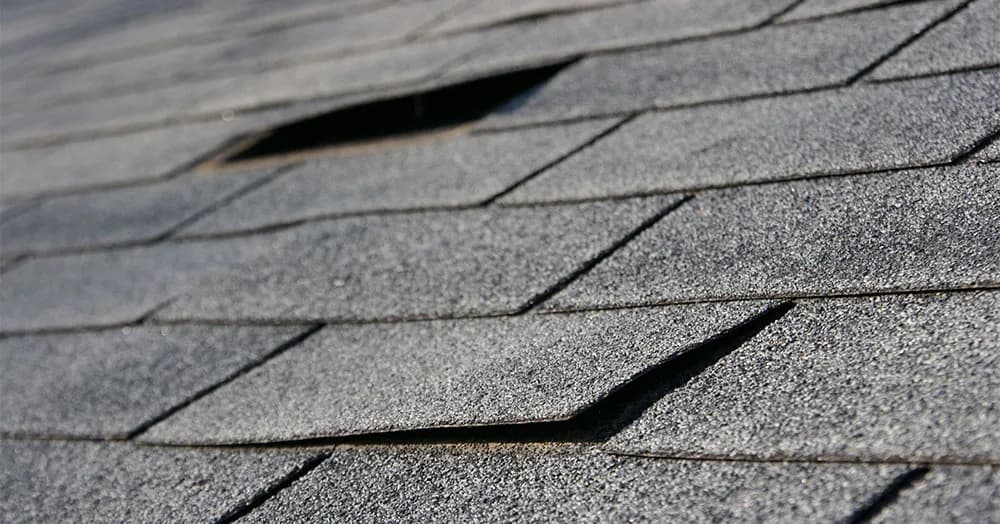 Roof Repairs — project photo 1